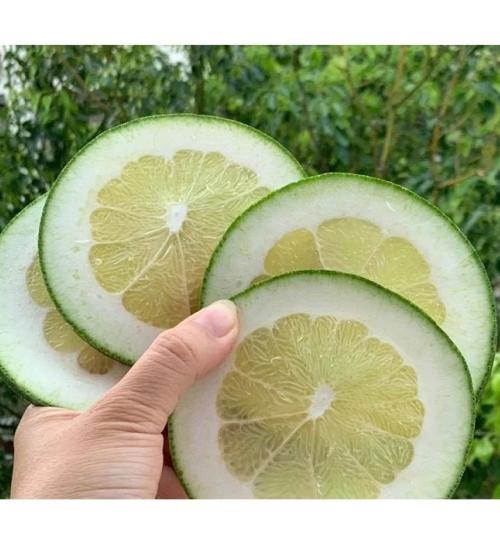 BƯỞI THÁI LÁT SẤY LẠNH