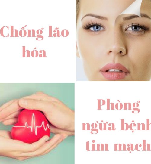 Táo đỏ Tân Cương 